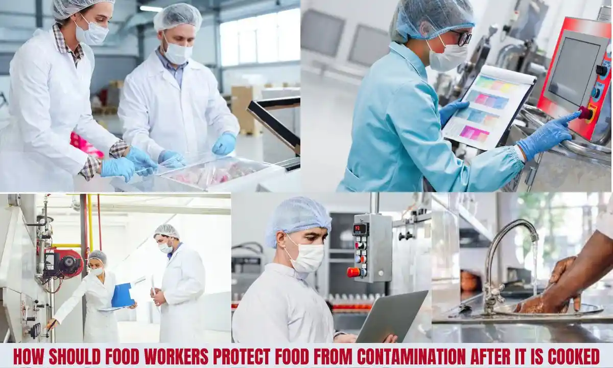 How Should Food Workers Protect Food From Contamination After It Is Cooked?