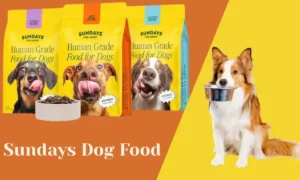 Sundays Dog Food